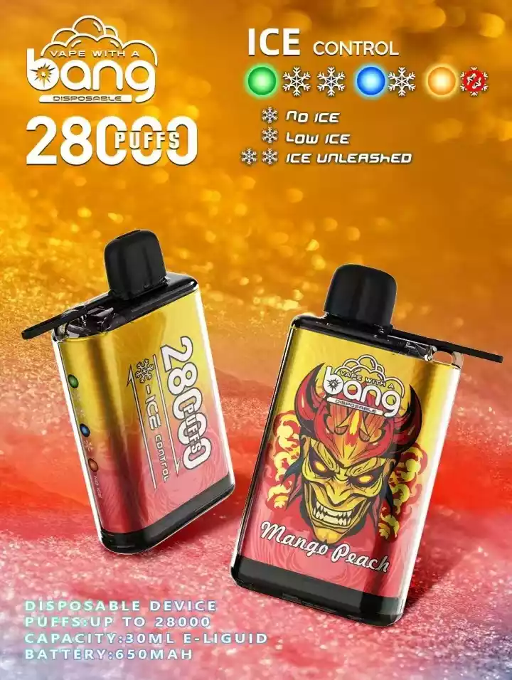 Bang 28000 Puffs Mesh Coil Nicotine 0% 2% 3% 5% Disposable Vape Wholesale Premium Quality Made in China Flavors to Choose From (11)