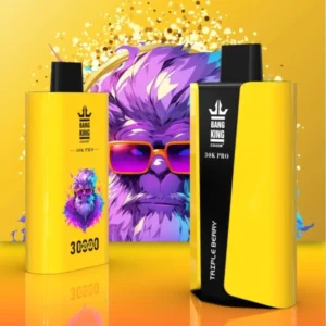 Bang King 30000 Puffs Pro 850mAh Battery Factory Wholesale Disposable Vape Bulk with Multiple Flavor Choices Nicotine 0% 2% 3% 5% (1)