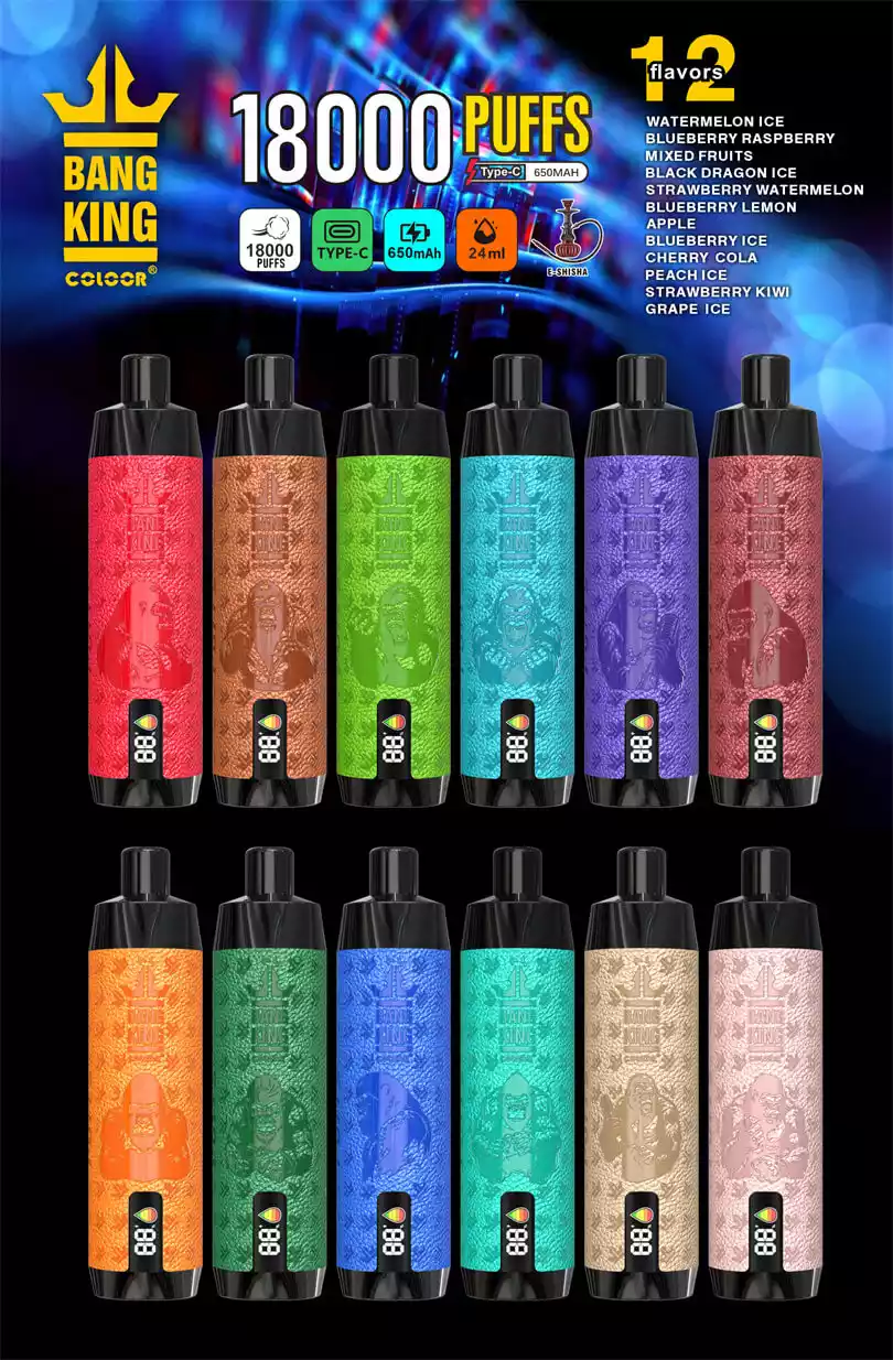 Bang King Shisha 18000 Puffs DTL Hookah Disposable Vape with Display 18K Puffs Vape Pen Electronic Cigarette Wholesale Vape Pen Bulk Buy 12 Flavors Big Cloud Type -C (2)